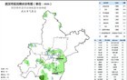 狂降近10℃！大雨马上到武汉，时间还不短……