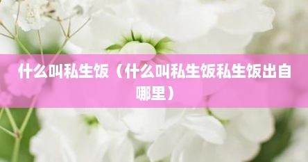 什么叫私生饭（什么叫私生饭私生饭出自哪里）