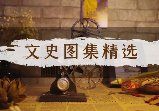 中医文化―中药文化―美食佳药鱼腥草