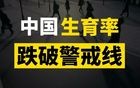 最新生育率公布：老百姓对香火断绝危机冷漠，官方很无奈