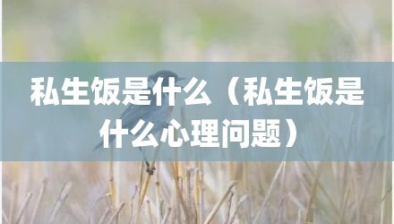 私生饭是什么（私生饭是什么心理问题）