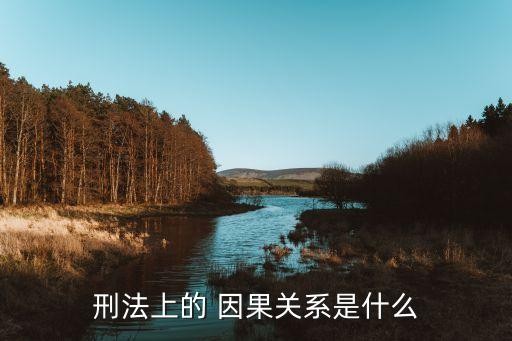 刑法上的 因果关系是什么