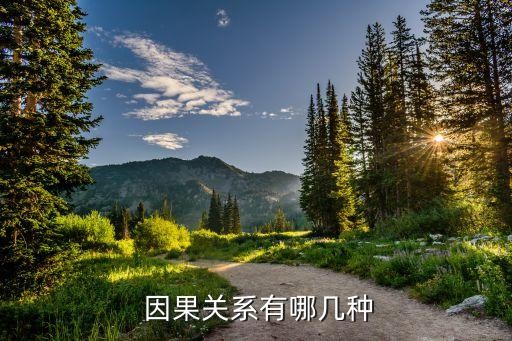  因果关系有哪几种