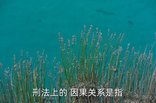 刑法上的 因果关系是指