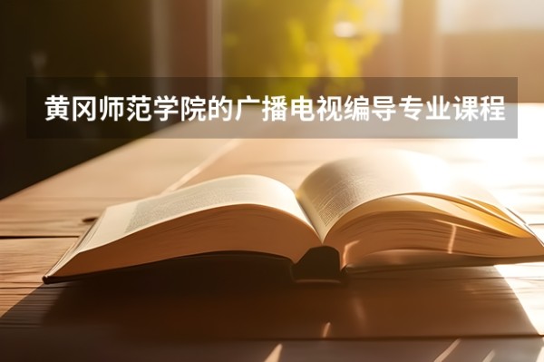 黄冈师范学院的广播电视编导专业课程都是什么？