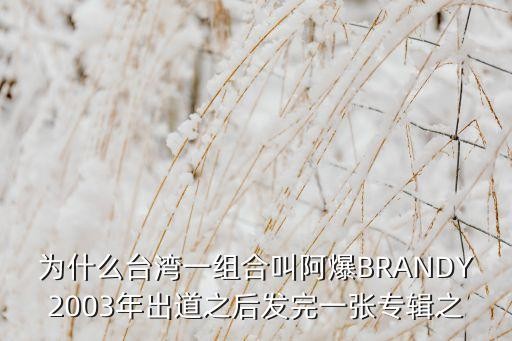 为什么台湾一组合叫阿爆BRANDY2003年出道之后发完一张专辑之