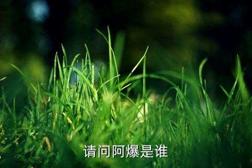 请问阿爆是谁
