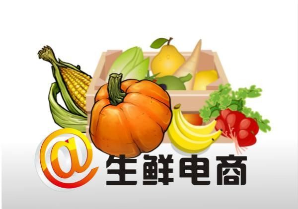 甘肃扬帆起航：生鲜电商的七种模式