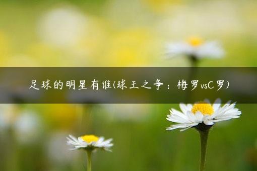 足球的明星有谁(球王之争：梅罗vsC罗)