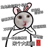 moomoo