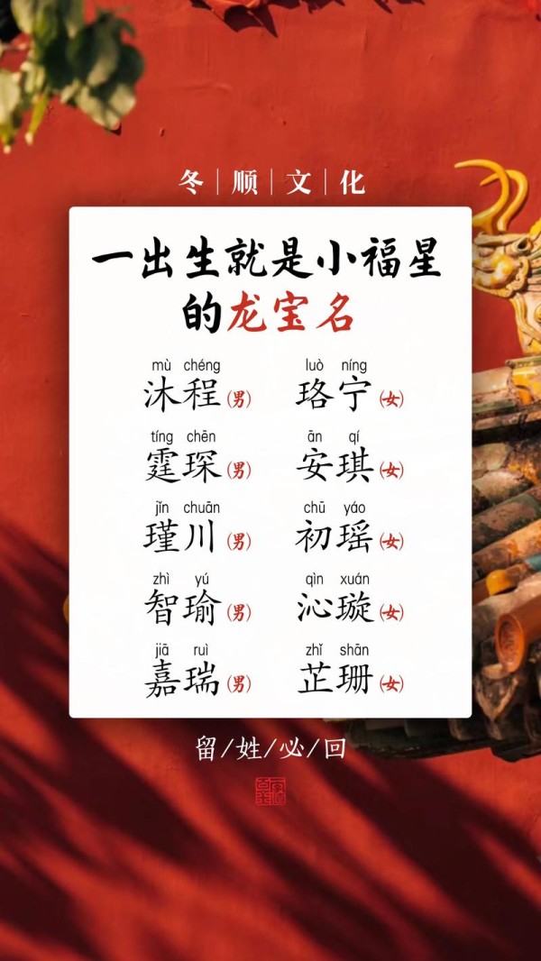 龙宝宝取名接地气的名字(龙宝宝取名大全)