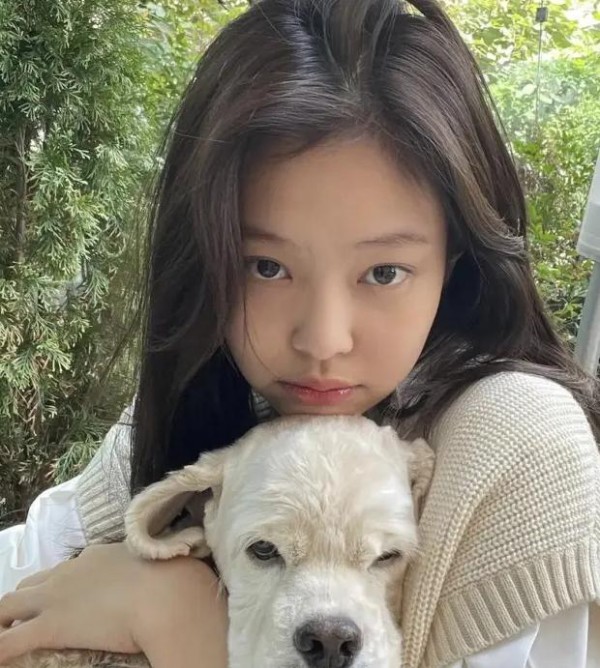 jennie金珍妮为什么叫鲶鱼 jennie金珍妮鲶鱼精是什么梗什么意思称号由来