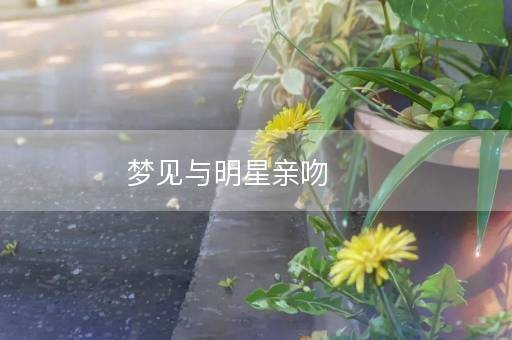 与明星亲吻