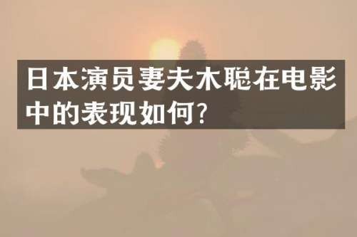 日本演员妻夫木聪在电影中的表现如何？