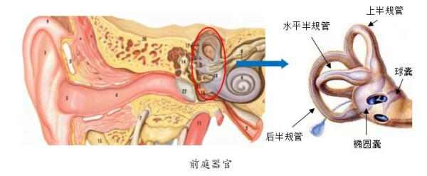 捕获.JPG