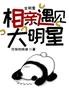 全明星:相亲遇见大明星