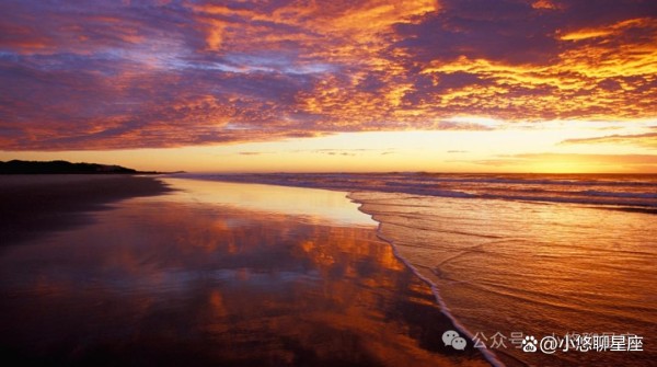 四象星座分类：风象、火象、水象、土象