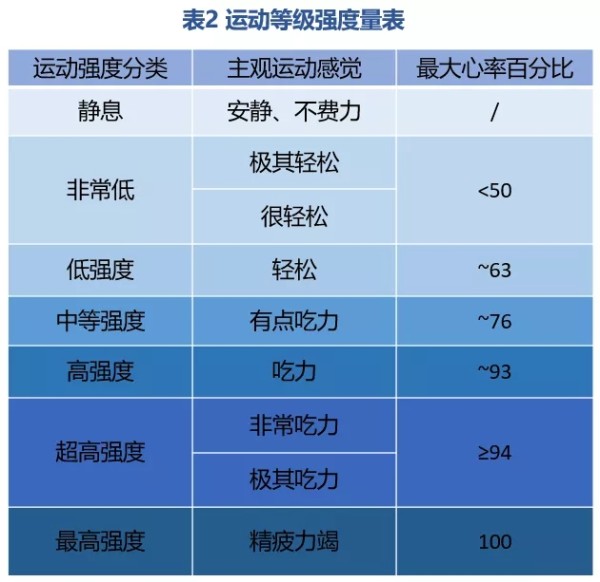 运动等级强度量表