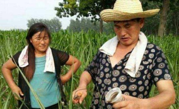 大衣哥成名后为何被村里人骂？王健林的话道出了原因