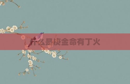 什么是庚金命有丁火