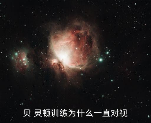 贝 灵顿训练为什么一直对视