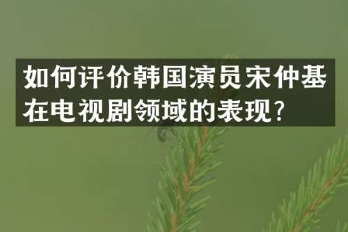 如何评价韩国演员宋仲基在电视剧领域的表现？
