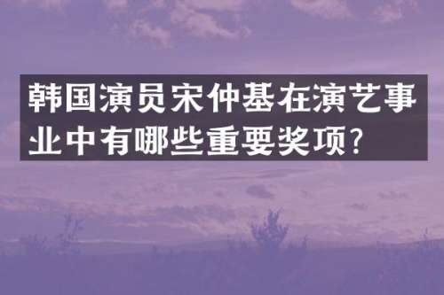 韩国演员宋仲基在演艺事业中有哪些重要奖项？