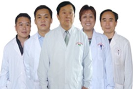 专家团队