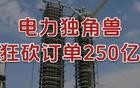 狂砍订单250亿，电力独角兽，一骑绝尘！