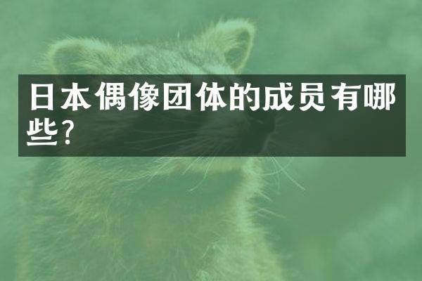 日本偶像团体的成员有哪些？