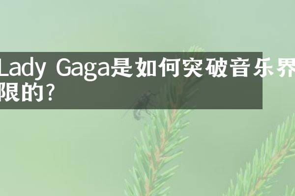 Lady Gaga是如何突破音乐界限的？