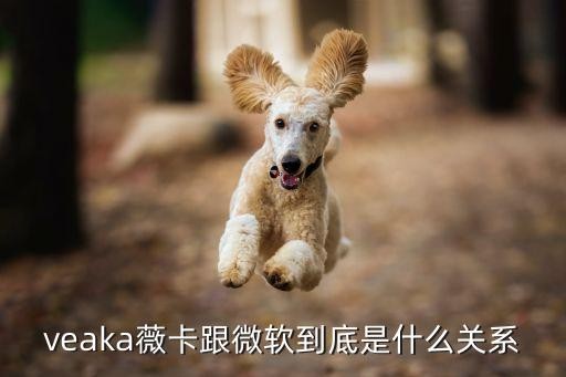 veaka薇卡跟微软到底是什么关系