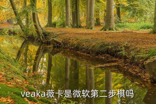 veaka薇卡是微软第二步棋吗