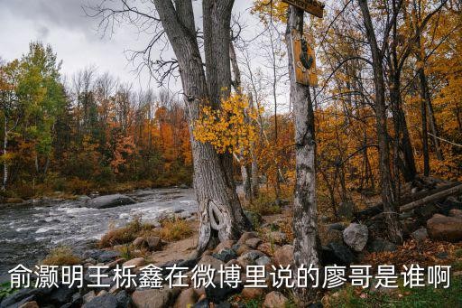 成都市龙泉驿廖哥泡菜，俞灏明王栎鑫在微博里说的廖哥是谁啊