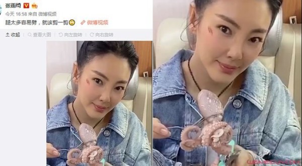 张雨绮剪八爪鱼疑内涵罗志祥怎么回事 张雨绮剪八爪鱼是什么意思