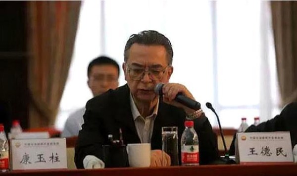 中国最帅的院士，曾被清华北大拒绝，成为杰出的科学家，受人敬仰