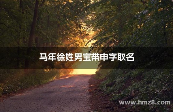 马年徐姓男宝带申字取名