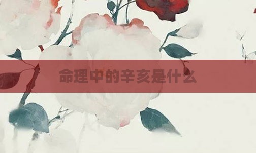 命理中的辛亥是什么