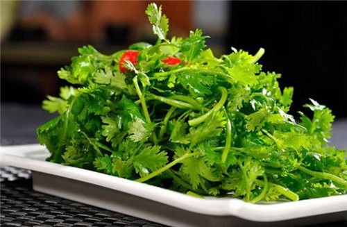 喜欢吃香菜,探寻香菜的独特魅力与美味食谱
