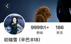 辛巴被相关部门带走调查？最新回应来了