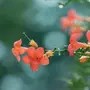 《承欢记》：麦承欢与辛家亮分手，分手原因让人无奈