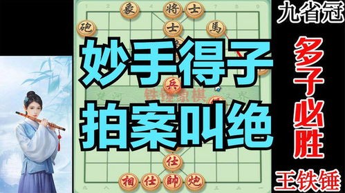 娱乐吃瓜王铁锤,吃瓜王铁锤的传奇与争议 第2张