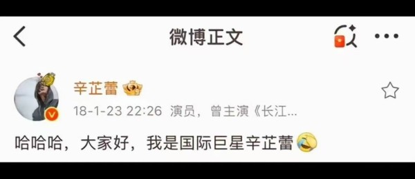 辛芷蕾“飞升”：她当真成了“国际巨星”