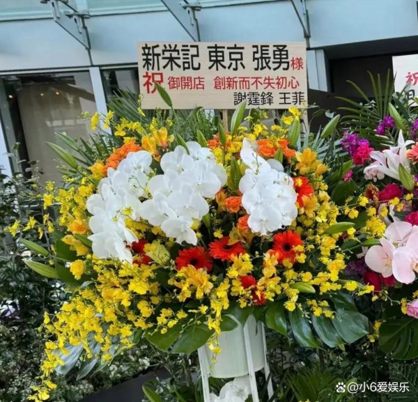 谢霆锋与王菲二人联名送花篮，两人几乎不说爱，却处处透着爱