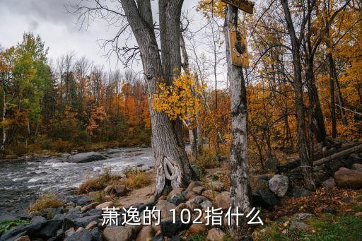  萧逸的 102指什么