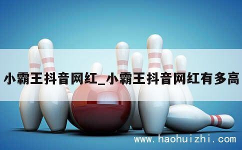 小霸王抖音网红_小霸王抖音网红有多高 第1张