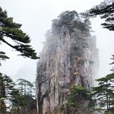 大橘和大壮