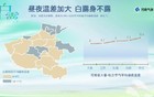 雨！暴雨！大暴雨！河南将成暴雨“靶心”：全省有雨