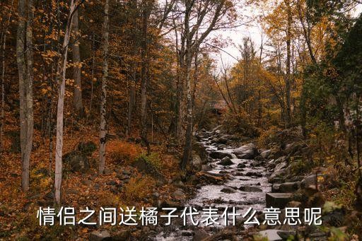 情侣之间送橘子代表什么意思呢