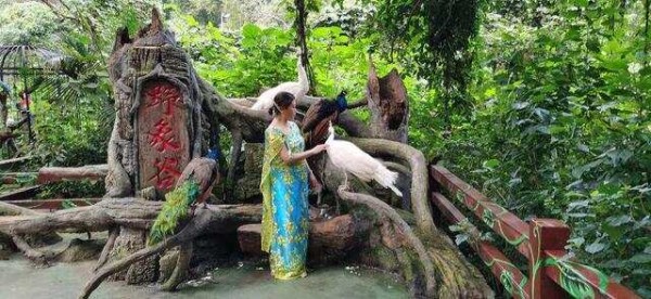 傣族和泰族、缅甸的掸族、老挝的佬族、印度的阿洪姆人有何关系？